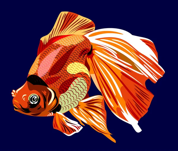 Picture Beautiful Goldfish — Stock Vector
