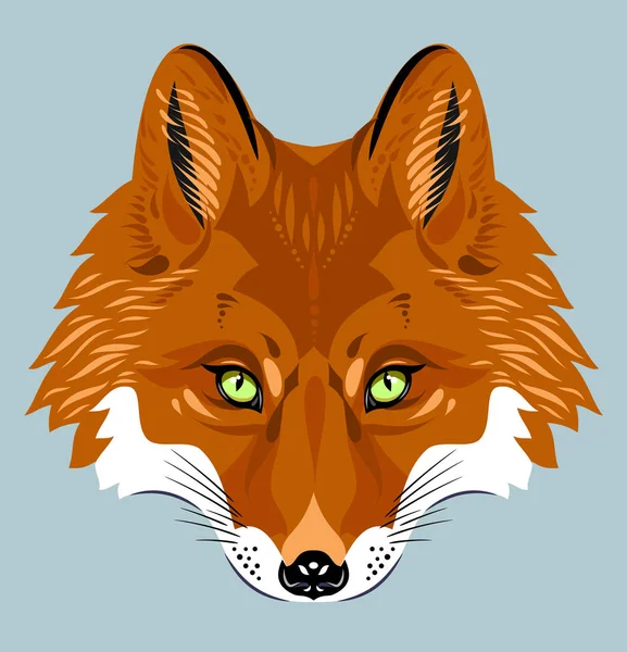 Portrait Renard — Image vectorielle