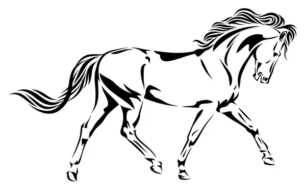 Portrait Arabian Horses Equestrian — Stock Vector