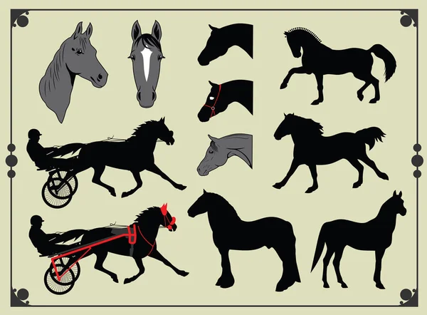 Portrait Chevaux Arabes Équestres — Image vectorielle