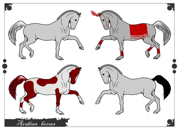 Portret Arabische Paarden Paardensport — Stockvector