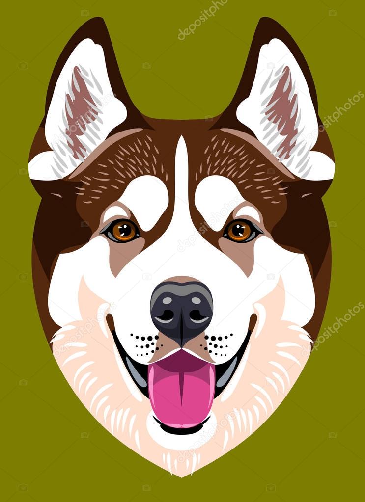 Portrait of a Husky dog breed