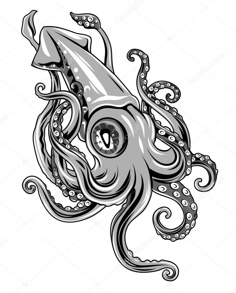 vector clipart squid, Marine life