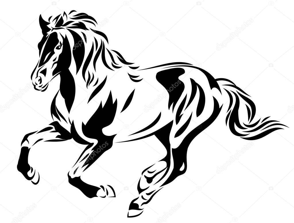 Portrait Arabian horses equestrian