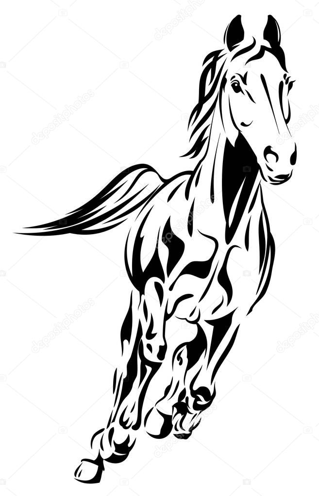 Portrait Arabian horses equestrian