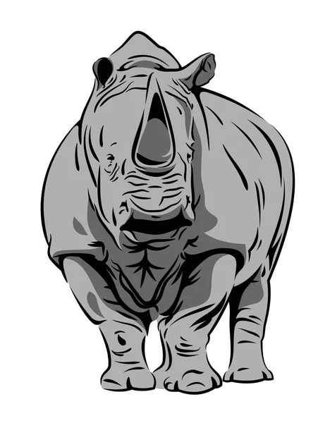 코뿔소의 이미지 — 스톡 벡터