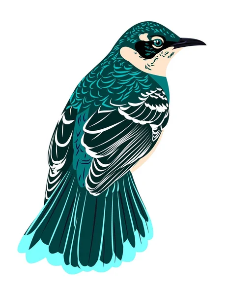 Beautiful Bird Motley Plumage — Stock Vector