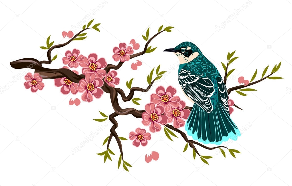 bird sitting on a branch of cherry blossoms