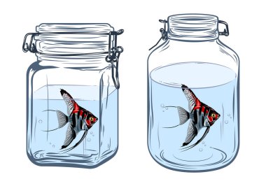 O bir melek balığı ile bir cam kavanoz