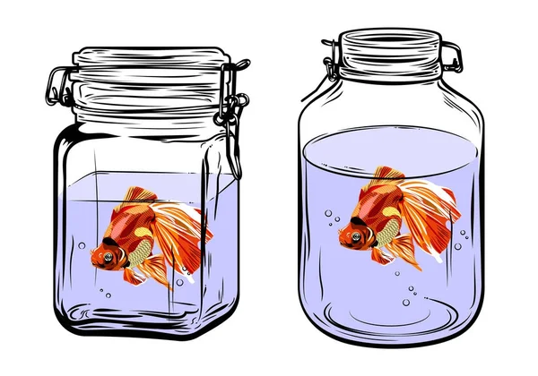 Glass Jar Gold Fish — Stock Vector