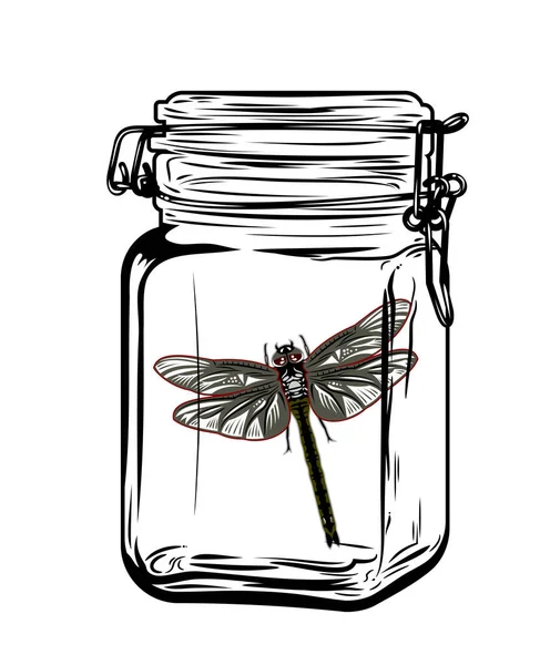 Vector: frascos de vidrio | Frascos Vidrio Vacío Redondo Cuadrado