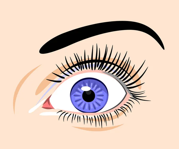 Hermoso Ojos Expresivos Mujeres — Archivo Imágenes Vectoriales