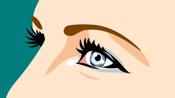 Beautiful Expressive Eyes Women — Stock Vector