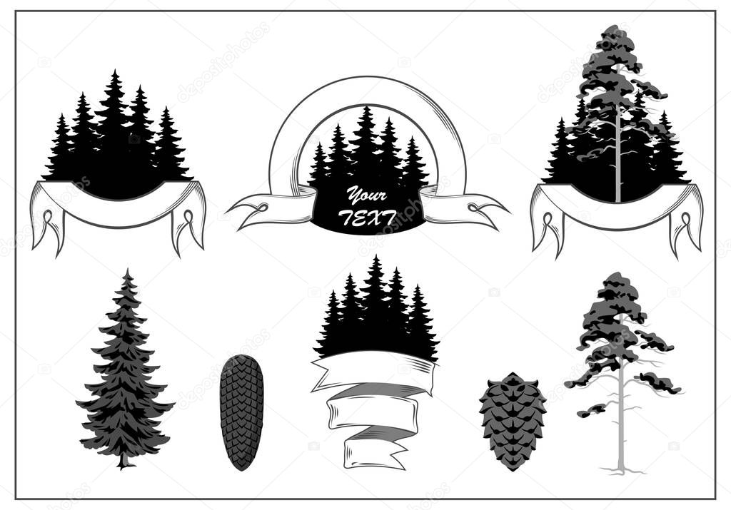 Set of icons with the image of the forest, pine, trees, banners, labels, badges