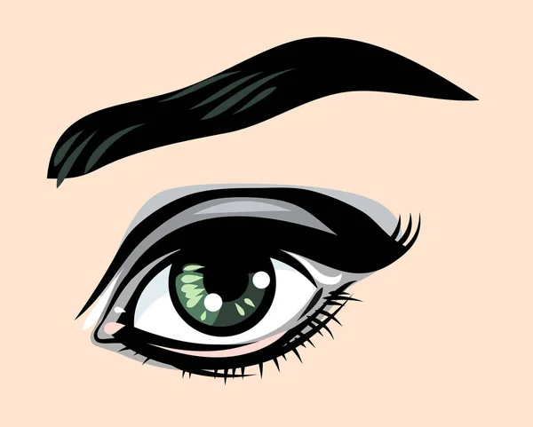 Hermoso Expresivos Ojos Verdes Mujeres — Archivo Imágenes Vectoriales