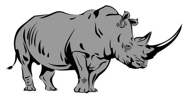 Vector Afbeelding Van Een Neushoorn — Stockvector