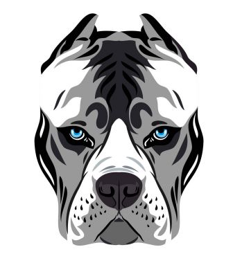 Bir köpek doğurmak çukur boğa korkunç portresi