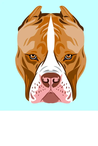 Portrait Dog Breed Pit Bull Terrier — Stock Vector
