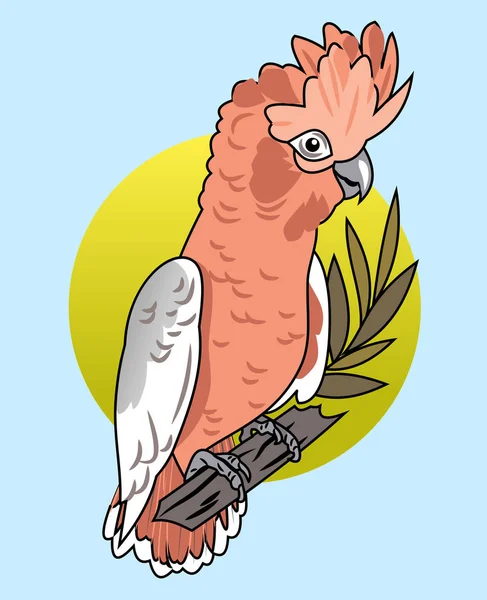 Immagine Uccello Esotico Cacatua Rosa — Vettoriale Stock