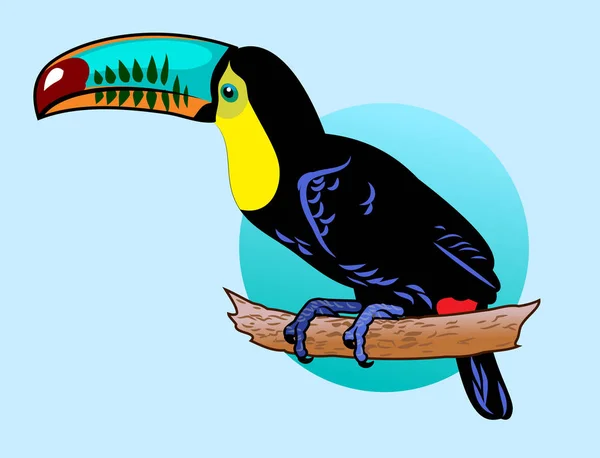 Het Beeld Van Een Exotische Vogel Toekan Stockvector