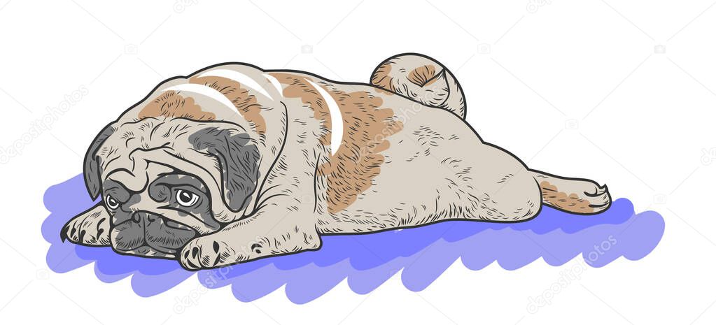 Vector image of a bored lying cute pug