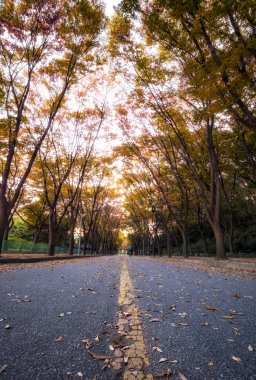 Incheon grand park düşük açılı düşmek