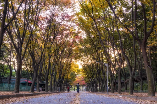 Grande parco di Incheon in autunno — Foto Stock