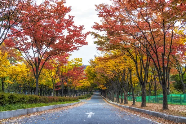 Інчхон grand park протягом осені — стокове фото