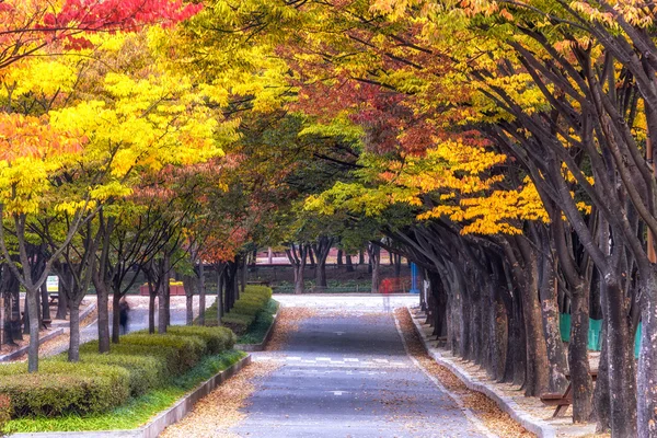 Большой парк Инчхон осенью — стоковое фото