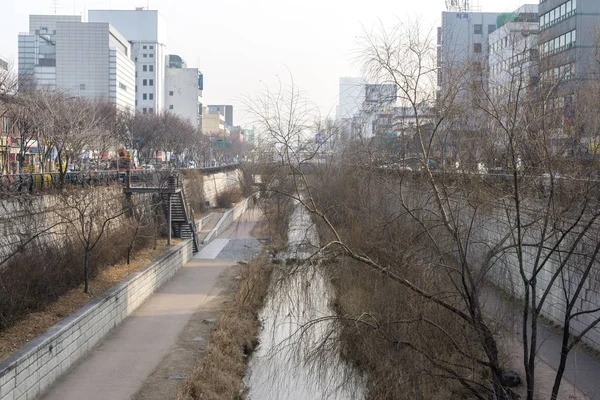 Cheonggyecheon v zimě — Stock fotografie