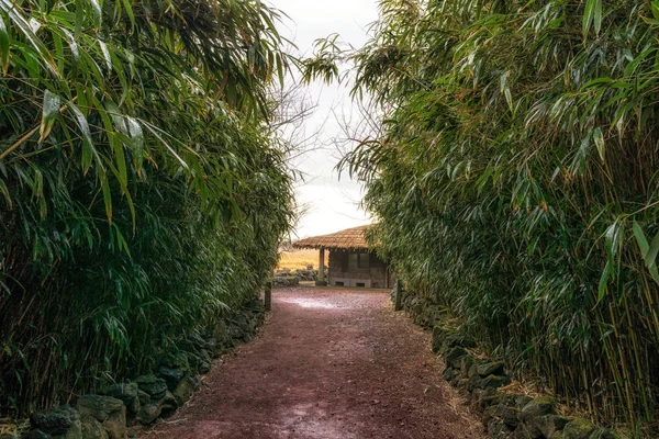 Maison de chaume traditionnelle — Photo