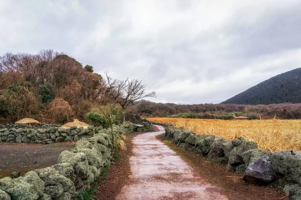 Jeju stone park louky s doškovou střechou — Stock fotografie