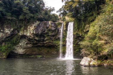 cheonjiyeon şelale jeju Adası
