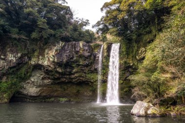 cheonjiyeon şelale jeju Adası