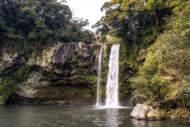 cheonjiyeon şelale jeju Adası