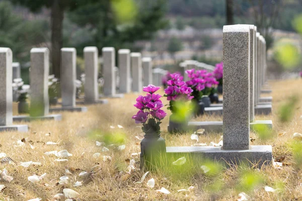 gravestones at seoul national cemetery