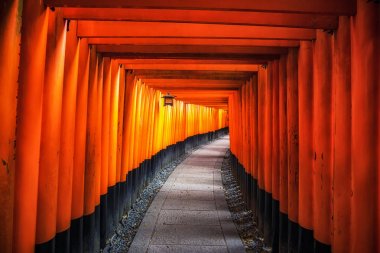 Fushimi Inari taisha kapıları