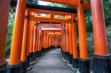 Fushimi Inari taisha kapıları