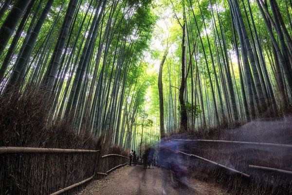 Arashiyama Bambù Grove — Foto Stock