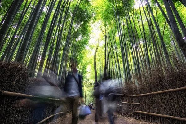 Arashiyama Bambù Grove — Foto Stock