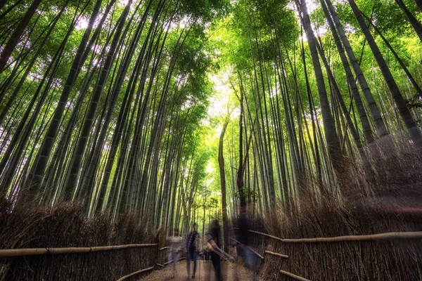 Arashiyama Bambù Grove — Foto Stock