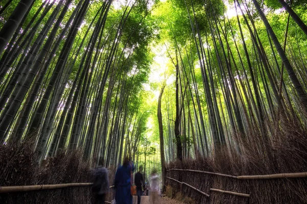 Arashiyama Bambù Grove — Foto Stock