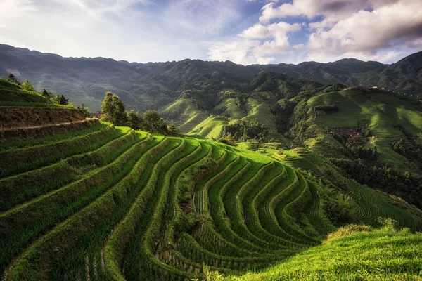 Longi rice terrace — Stock Photo, Image