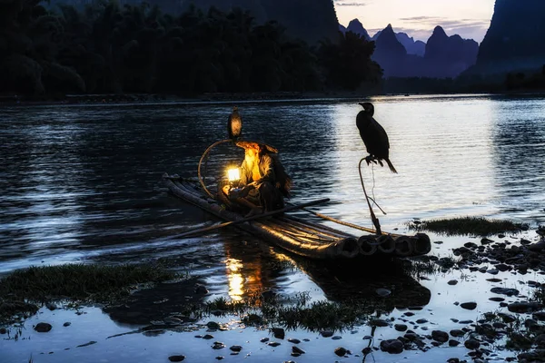 El pescador cormanto en el río li — Foto de Stock