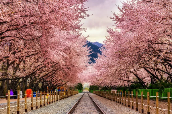 Bahar Gyeonghwa istasyonu