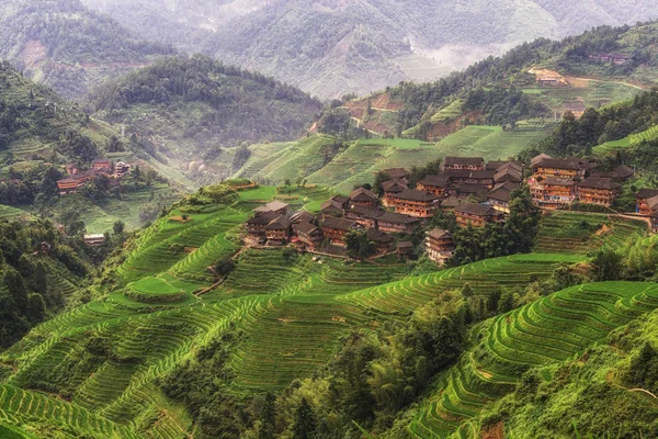 Longji rice terrace — Stock Photo, Image