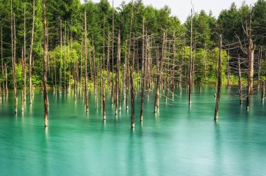 biei mavi su birikintisi
