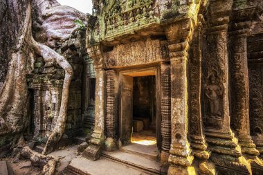 ta prohm Tapınağı