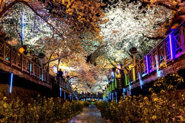 Jinhae yeojwacheon akışı