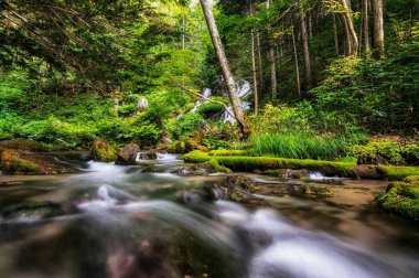 küçük basamaklı şelale